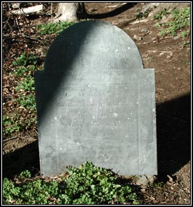 Gravestone for Mr. Benjamin. Robinson (1815). 