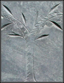 Detail on tympanum of headstone for Benjamin Selman (1802).